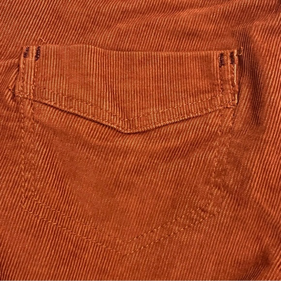 Horny Toad Rust Corduroy Pants Size 2 - Picture 5 of 10
